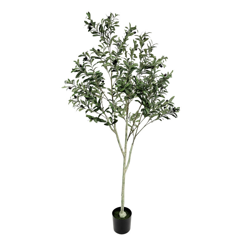 Primrue Aarav Faux Olive Tree Tree in Pot & Reviews Wayfair